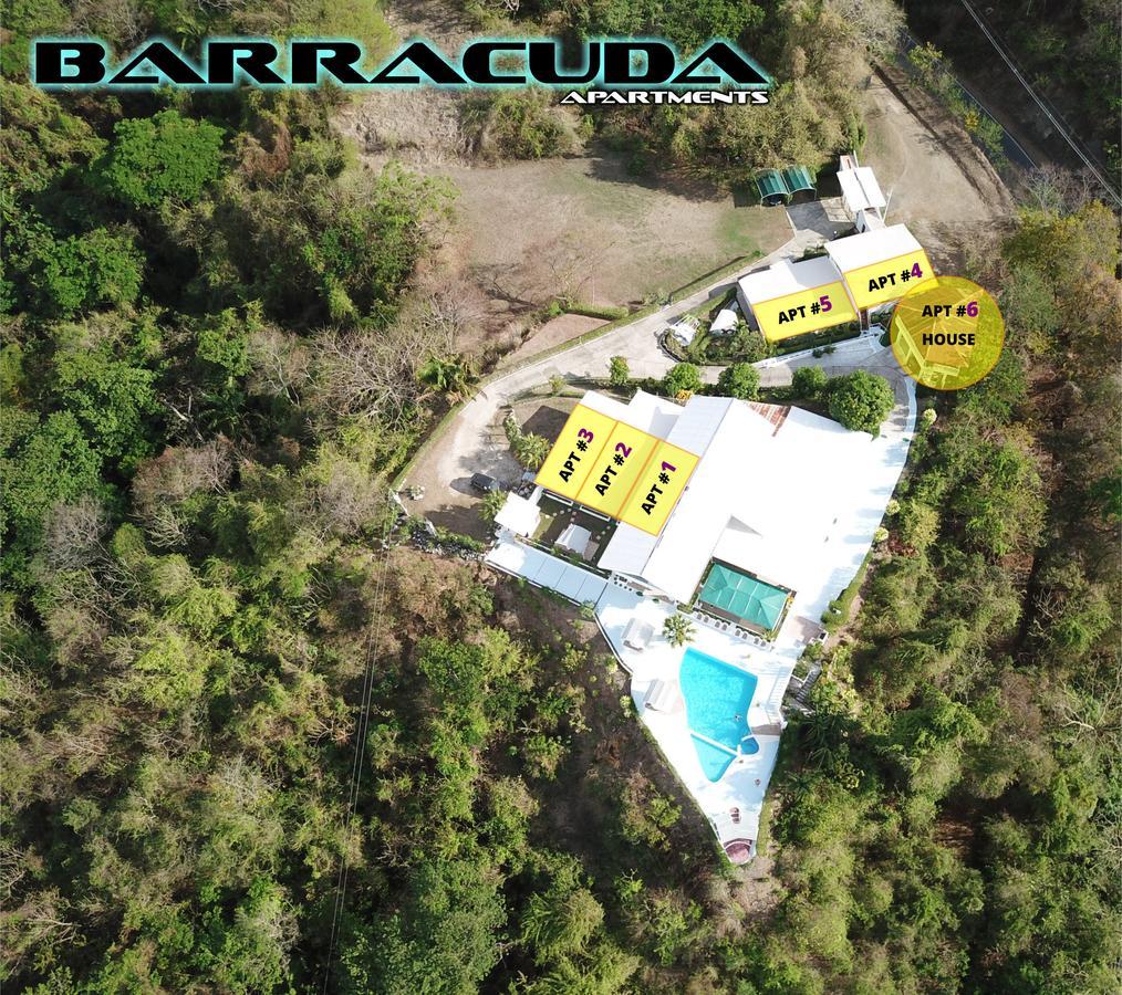 Sámara Barracuda Apartments מראה חיצוני תמונה